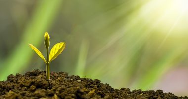 how to automate your business with ai tools 2026 - URL Short